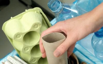 Organizar o lixo é um ato de amor